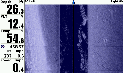 New User's Pictures ila_rendered