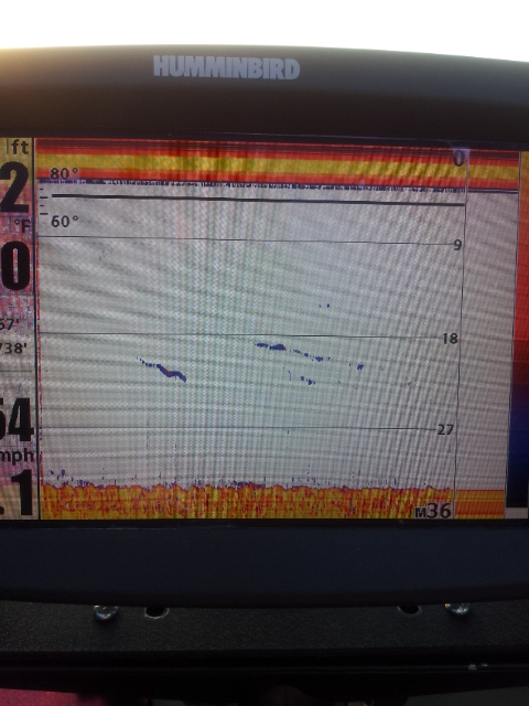 Excessive Screen Clutter on 2d and weak DI/SI in deep water.