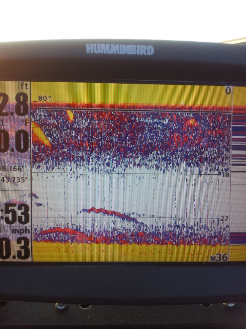 Excessive Screen Clutter on 2d and weak DI/SI in deep water.