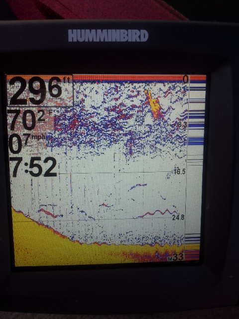 Excessive Screen Clutter on 2d and weak DI/SI in deep water.