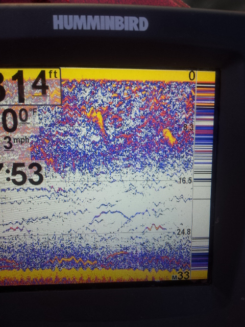 Excessive Screen Clutter on 2d and weak DI/SI in deep water.