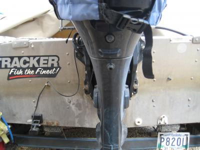 Transducer Placement ila_rendered