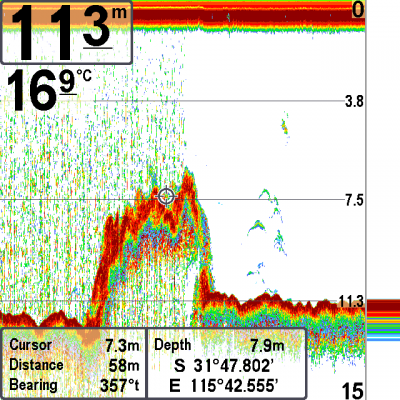 fish id ila_rendered