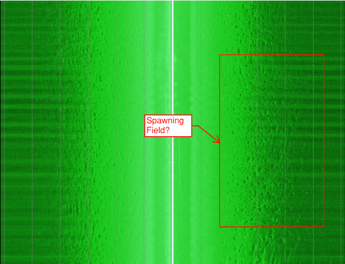 Help Deciphering What I'm Looking At ila_rendered