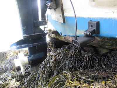 Quadrabeam transducer problems... ila_rendered