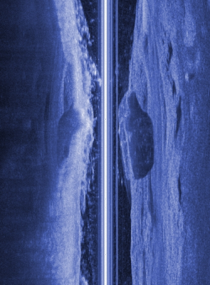 Salvaged cars ila_rendered