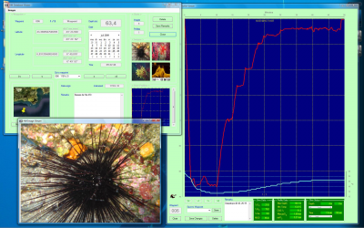 HumMapper 2.0: manual already available. See the new database features. ila_rendered