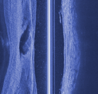 Salvaged cars ila_rendered