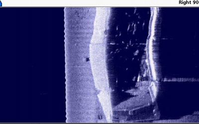 Catfish heaven ila_rendered